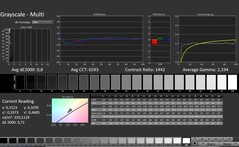 CalMAN: Grayscale (calibrated)