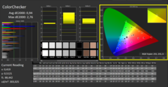 CalMAN - ColorChecker (calibrated)