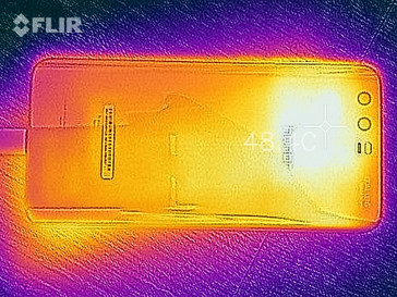 Heat map back