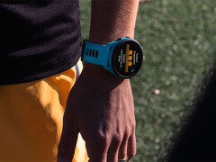 Garmin has returned to its Forerunner Beta Program after a short pause to resolve bugs that were causing system crashes in a recent build. (Image source: Garmin)