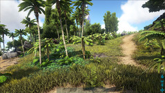 Ark Survival Evolved