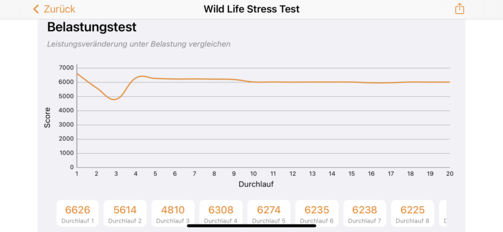 3DMark - Wild Life stress test