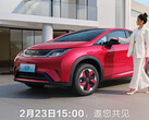 2024 Dolphin may challenge the Model 2 pricing (image: BYD)