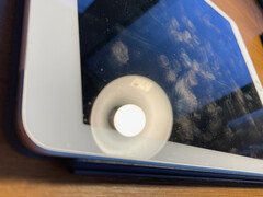 Surfaces serve as carriers, especially in the healthcare sector.