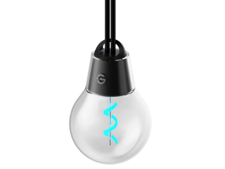 The Govee Outdoor Filament String Lights have a globe shaped bulb. (Image source: Govee)
