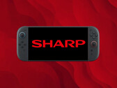 Switch 2 console shown with Sharp LCD screen