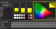 CalMAN - ColorChecker (calibrated)