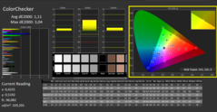 CalMAN: ColorChecker (calibrated)