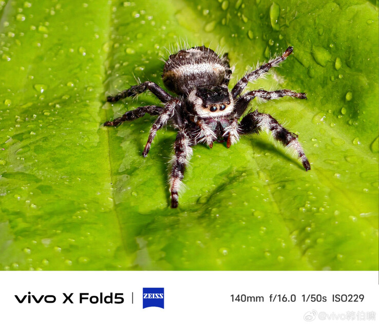 (Image source: Vivo)