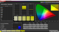 CalMAN Saturation Sweeps (after calibration)