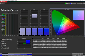 Saturation (Profile: Professional, Target color space: sRGB)