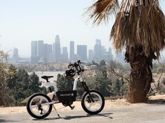 The US edition of the Delfast California e-bike has a Bafang motor with up to 160 Nm of torque. (Image source: Delfast)