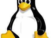 Thanks to Steam, Proton GE and Valve, gaming on Linux is far easier that you might think. (Source: Wikipedia)
