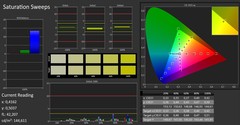 CalMAN - Saturation Sweeps (calibrated)