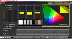 CalMAN ColorChecker calibrated (target color space P3)