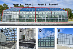 Four separate rooms with varying degrees of coverage with transparent solar panels were used. (Image source: Murdoch University)