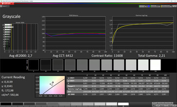 External display: greyscale (colour mode: normal, colour temperature: standard, target colour space: sRGB)