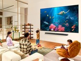 LG previews its 2024 QNED TVs. (Source: LG)