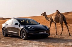 Tesla&#039;s Model 3 is currently the carmaker&#039;s cheapest vehicle available, coming in at US$37,940 after recent discounts. (Image source: Tesla)