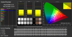 CalMAN - color-space coverage (calibrated)