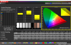 CalMAN ColorChecker (after calibration)