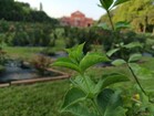 Redmi Note 13 5G: Main camera 108 MP