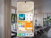 Devices like the P50 Pro have received several new features with Huawei's latest OS update. (Image source: Huawei)