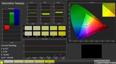 CalMAN: color saturation (after calibration)