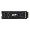 Kingston Fury Renegade SFYRS1000G Fury Renegade SFYRS1000G