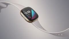 The Fitbit Sense may be the last flagship Fitbit smartwatch running Fitbit OS. (Image source: Fitbit)