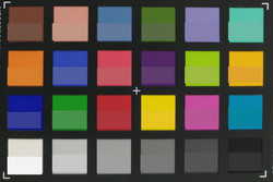 ColorChecker: The target color is displayed in the bottom half of each field.