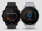 The Forerunner 955 series is one of many refreshes that Garmin has introduced this year. (Image source: Garmin)