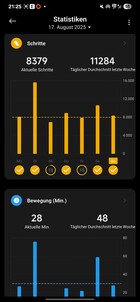 Xiaomi Smart Band 10 Activity