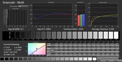 CalMAN: Grayscale (calibrated)