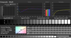 CalMAN: Grayscale (calibrated)