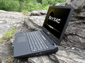 Eurocom Sky X4C (i7-8700K, GTX 1080, Clevo P751TM1-G) Laptop Review