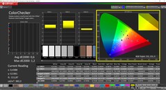 CalMAN ColorChecker (profile: P3, target color space: P3)