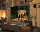 Amazon's Fire TV Omni mini-LED TVs have a light sensor that auto-adjusts picture quality based on Ambient light. (Image source: Amazon)