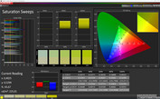 CalMAN saturation - intense