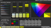 CalMAN: Color Saturation