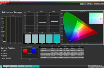 Grayscale (color scheme default, color temperature default, target color space sRGB)