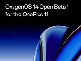 OnePlus is now offering Android 14 in beta form to the OnePlus 11. (Image source: OnePlus)