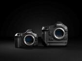 Canon EOS R5 Mark II (left) and the R1 (right) (Source: Canon)
