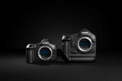 Canon EOS R5 Mark II (left) and the R1 (right) (Source: Canon)