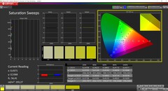 CalMAN Saturation calibrated (DCI-P3 color target space)