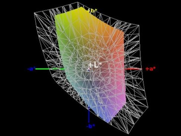 Color Space Coverage (sRGB) - 58%