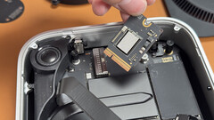 Even though the SSD is removable, it&#039;s a proprietary module (Image source: @L0vetodream)