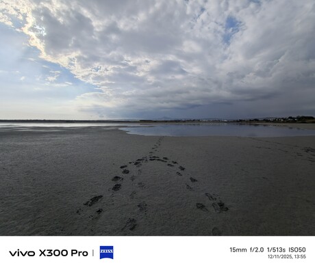 Vivo X300 Pro: Photo sample