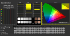 CalMAN - ColorChecker (calibrated)