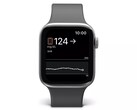 Apple Watch users can already track their blood sugar levels when using Dexcom devices. (Image source: Dexcom)